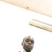 Douglas OMO and Danielite - Facebook