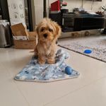 Douglas Ong - @dougong6638 - Instagram