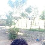 Douglas Onyango - @douglas.onyango.986 - Instagram
