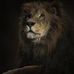 Douglas Oster - Facebook
