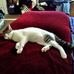 Doug Otteson - Facebook