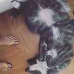 Douglas Passmore - @passmore.douglas - Instagram