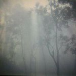 Douglas Pitts - @doug_pitts - Instagram