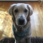 Buster Douglas Posey - @busterdouglasposey - Instagram