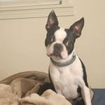 Douglas Posey - @dougposey55 - Instagram
