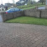 Douglas Power Washing - @powerwasherdouglas - Instagram