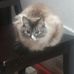 Douglas Proctor - Facebook