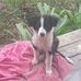 Douglas Quinn - Facebook
