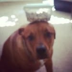 Douglass Grainey - @douglassgrainey - Instagram