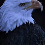 Douglas Rico - Facebook