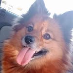 Douglas Riley - @douglas.riley.7739 - Instagram
