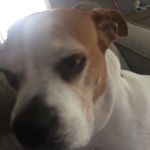 Douglas Riley - @douglas_riley17 - Instagram