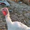 douglasreimer638 - @douglasreimer638 - TikTok