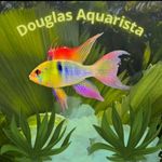 @douglas.aquarista - Instagram