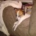 Douglas Ritchie - Facebook