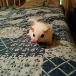 Douglas Roberts - @douglas.roberts.967806 - Instagram