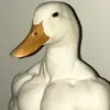 rob - @douglasl404 - TikTok