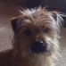 MARLEY DOUGLAS ROBY - Facebook