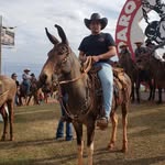 Douglas Rocha - @douglas.rocha.9674 - Instagram