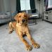 Douglas Duggie Rodgers - Facebook