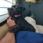 Douglas Rogers - Facebook