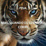 Douglas Alexandre thomas rohde - @douglasalexandrethomasrohde - Instagram