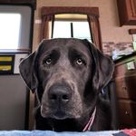 Douglas Roloff - @drroloff - Instagram