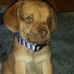 Douglas Romig - Facebook