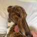 Douglas Ronaldson - Facebook