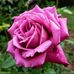 Douglas Rob - Facebook