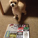 Douglas Root - @blogloginstant - Instagram