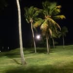Douglas Rosendo - @rosendodouglas29 - Instagram