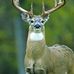 Douglas Rouleau - Facebook