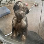 Douglas Rourke - @douglas.rourke - Instagram