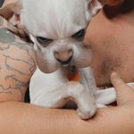 Douglas Rowland - @rooster0673 - Instagram