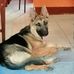 Douglas Ruano - Facebook