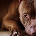 Douglas Ruble - Facebook