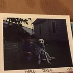 Douglas Ruder - @douglasruder - Instagram