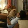 Douglas Ruiz - @douglasruiz02 - TikTok