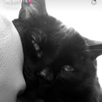 Douglas🐾 - @douglas_rules - Instagram