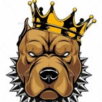 Douglas Rule - @douglas_aka_beast_ - Instagram