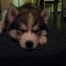 Doug Rummell - Facebook