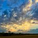 Douglas Runyon - Facebook