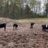 douglasrusch692 - @douglasrusch692 - TikTok