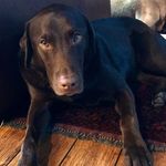 Doug - @douglas_russo_ - Instagram