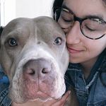 Douglas Sayers - @douglasdoggoadventures - Instagram