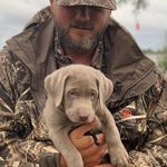 Douglas Schilling - @schillingjrd - Instagram