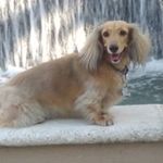 Douglas Schilling - @douglas.schilling0907 - Instagram