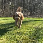 Douglas Schuster - @douglas.schuster.1 - Instagram