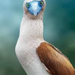 Seitz Douglas - @douglas.seitz - Instagram